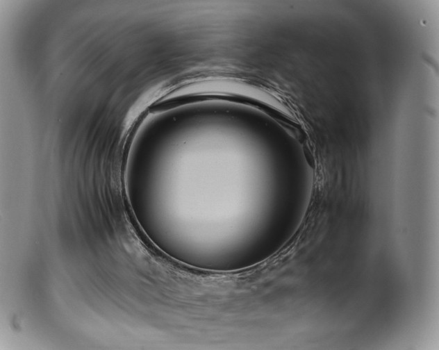 X0000099490004200805151418