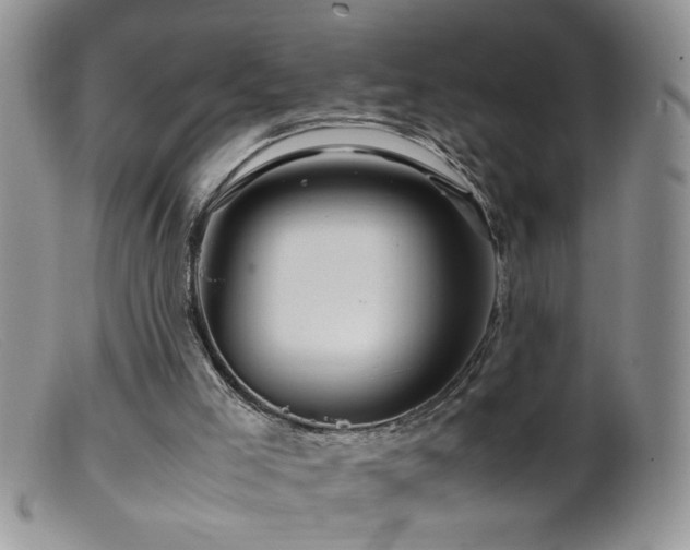 X0000099490005200805151418