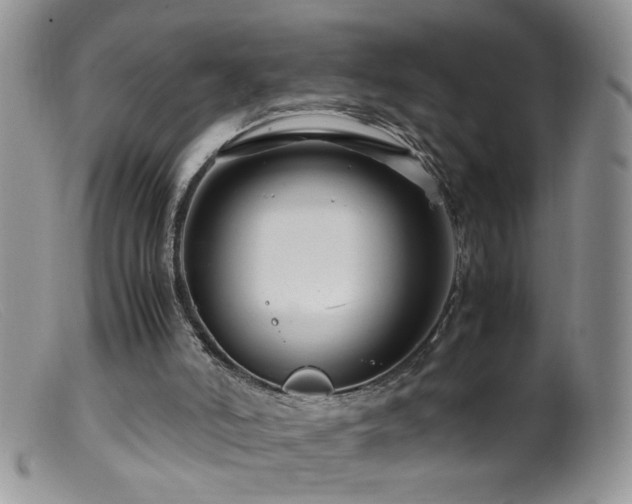 X0000099490006200805151418