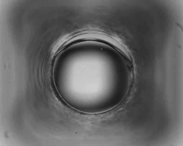 X0000099490007200805151418
