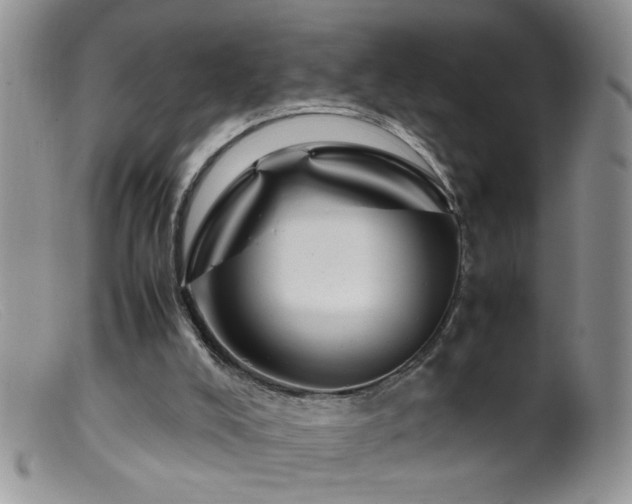 X0000099490008200805151418