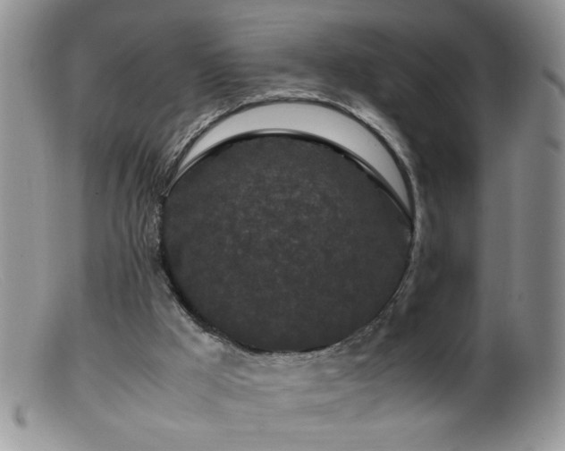 X0000099490009200805151418