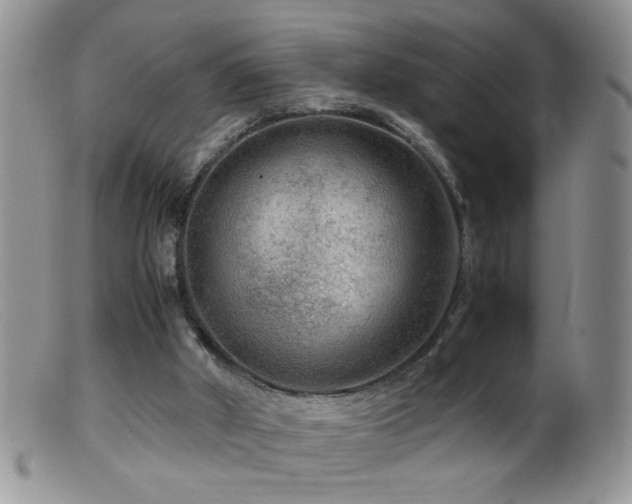 X0000099490010200805151418