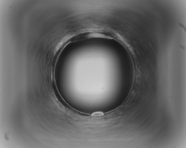 X0000099490011200805151418