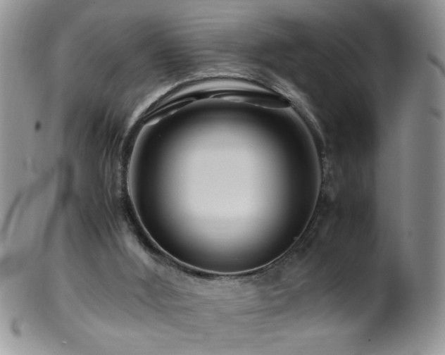 X0000099490012200805151418