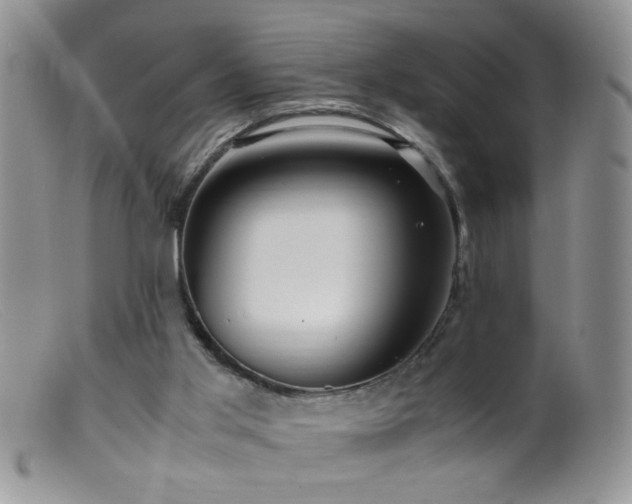 X0000099490013200805151418
