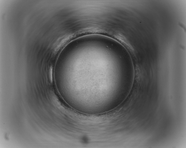 X0000099490014200805151418