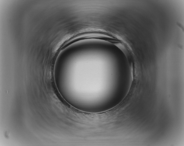 X0000099490015200805151418