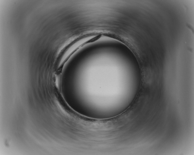 X0000099490016200805151418