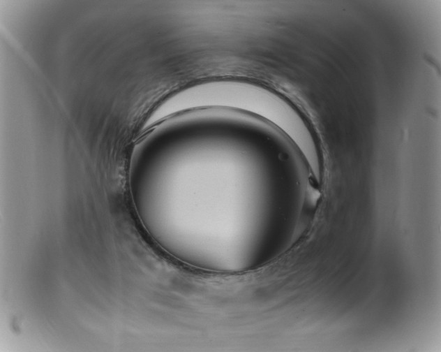 X0000099490017200805151418