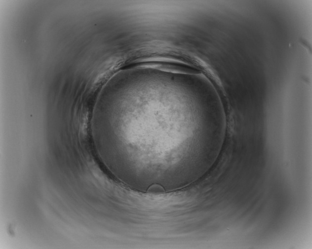 X0000099490018200805151418