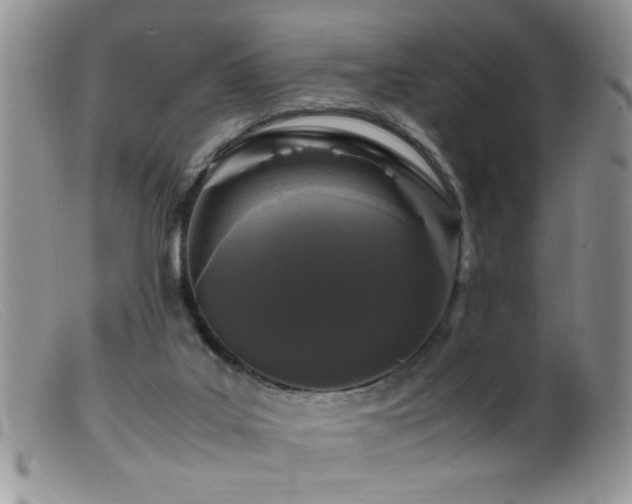 X0000099490019200805151418