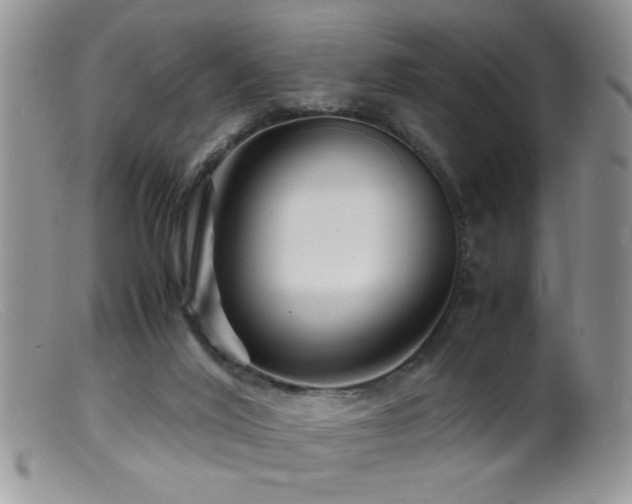 X0000099490020200805151418