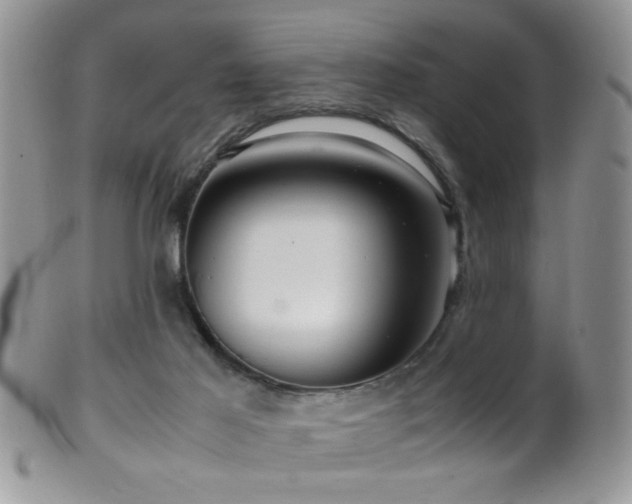 X0000099490021200805151418