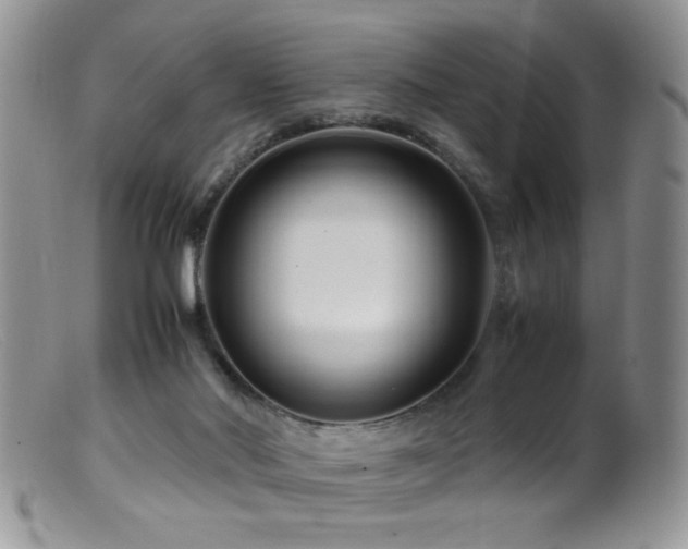 X0000099490022200805151418