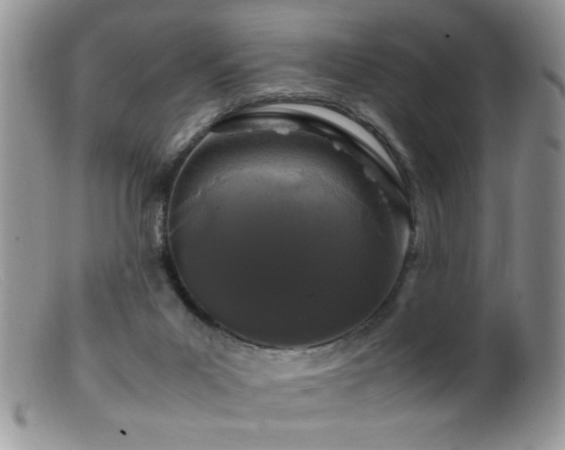 X0000099490023200805151418