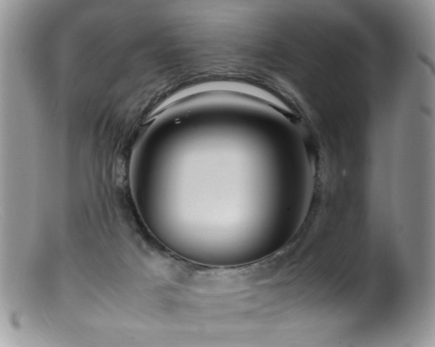 X0000099490025200805151418