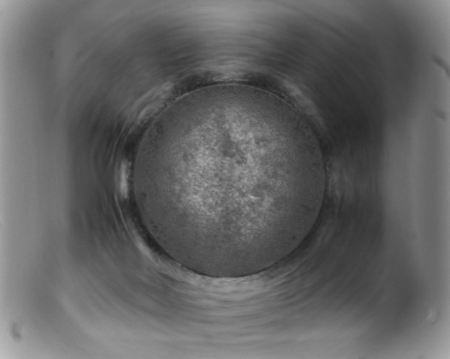 X0000099490026200805151418