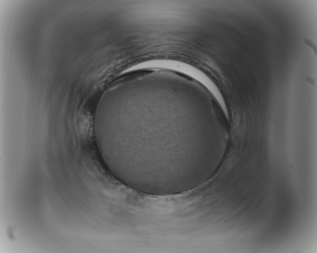 X0000099490029200805151418