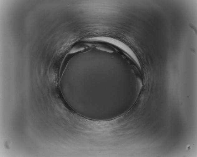 X0000099490031200805151418