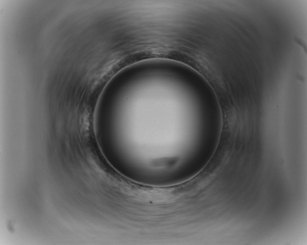 X0000099490032200805151418