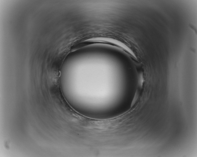X0000099490033200805151418