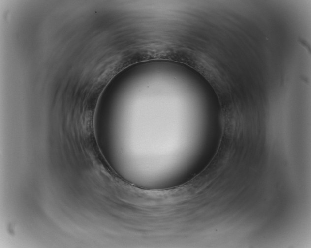 X0000099490034200805151418