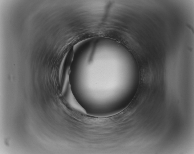 X0000099490036200805151418