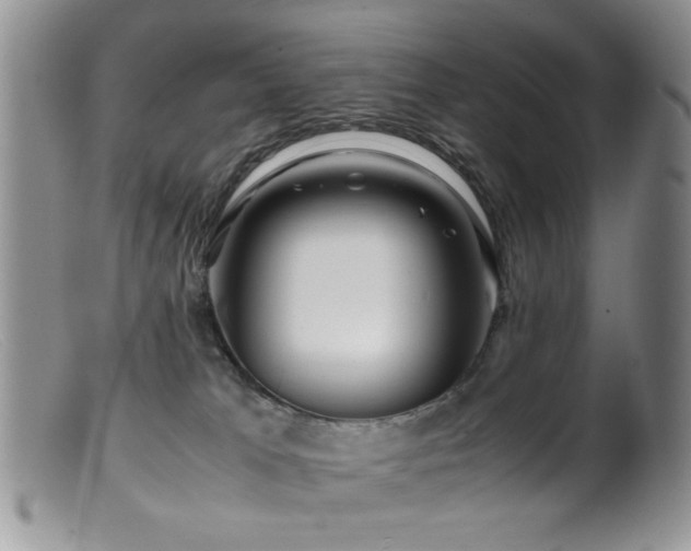 X0000099490037200805151418