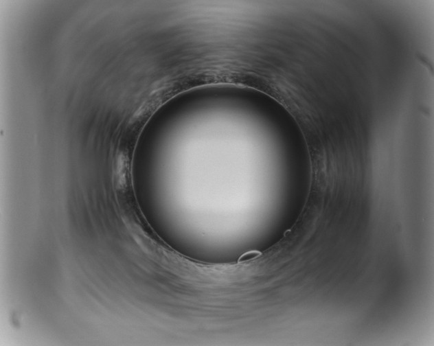 X0000099490038200805151418