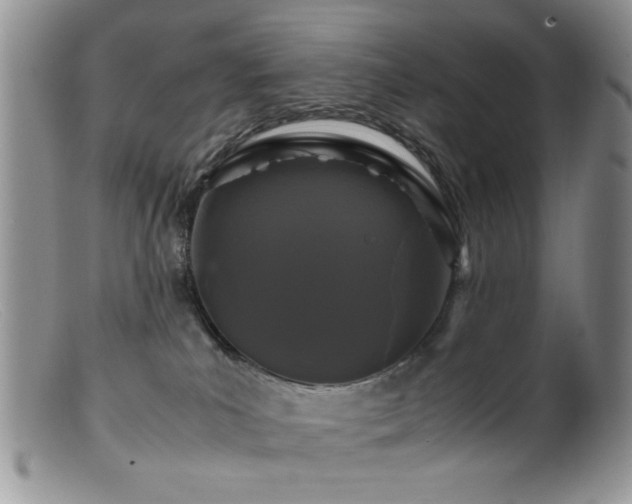 X0000099490039200805151418