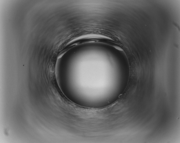 X0000099490040200805151417