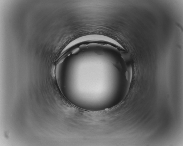 X0000099490041200805151417