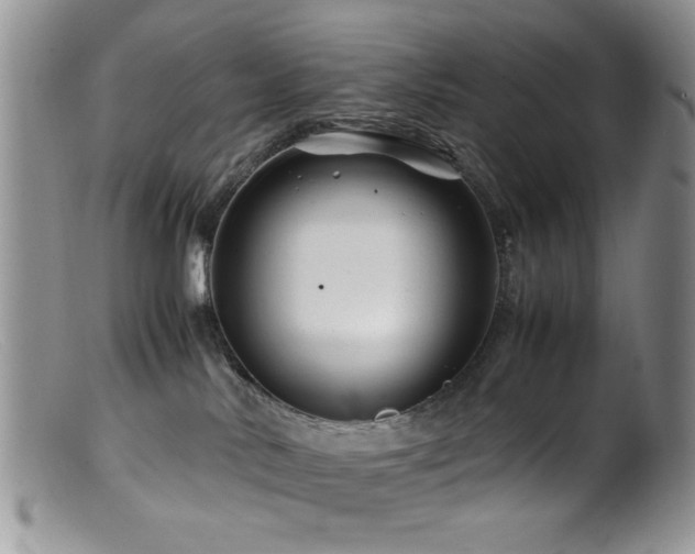 X0000099490042200805151417