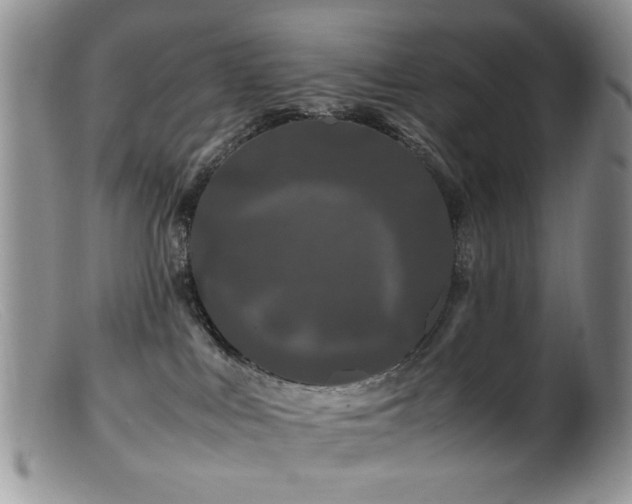X0000099490043200805151417