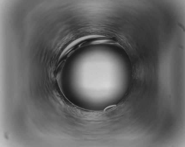X0000099490044200805151417