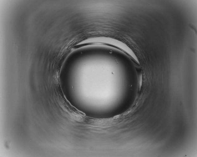 X0000099490045200805151417