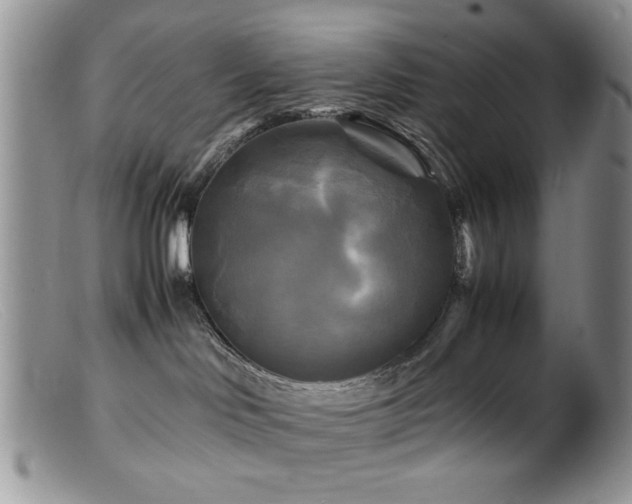 X0000099490046200805151417
