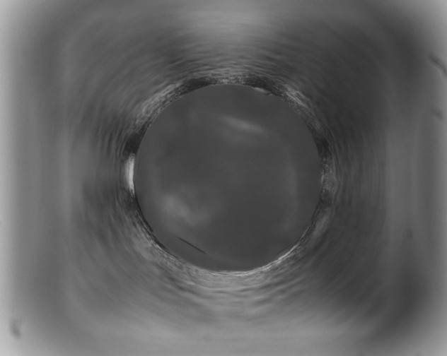 X0000099490047200805151417
