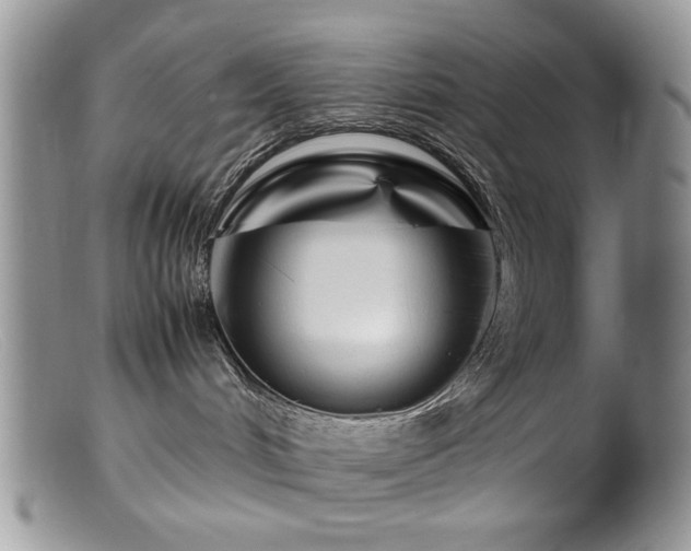 X0000099490048200805151417