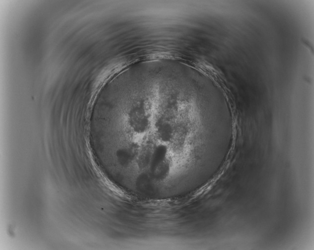 X0000099490049200805151417