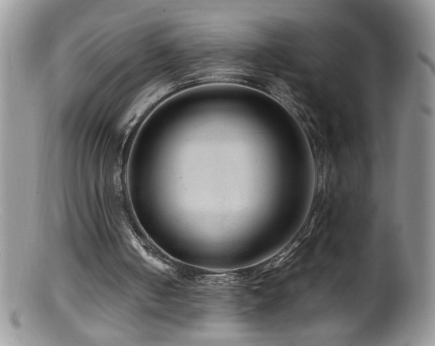 X0000099490050200805151417