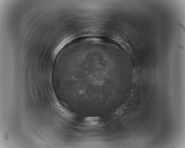 X0000099490051200805151417