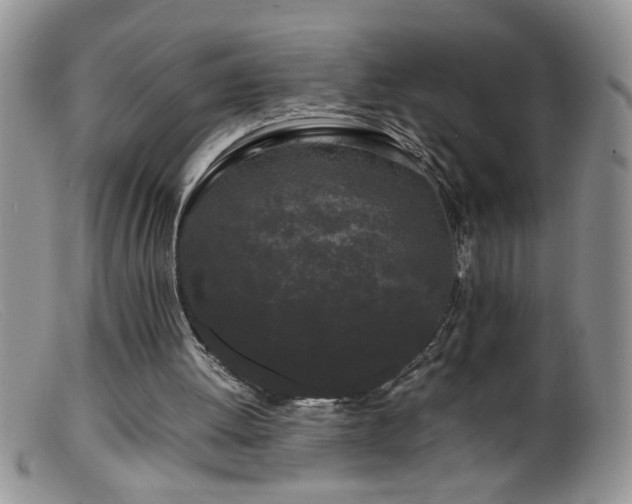 X0000099490052200805151417