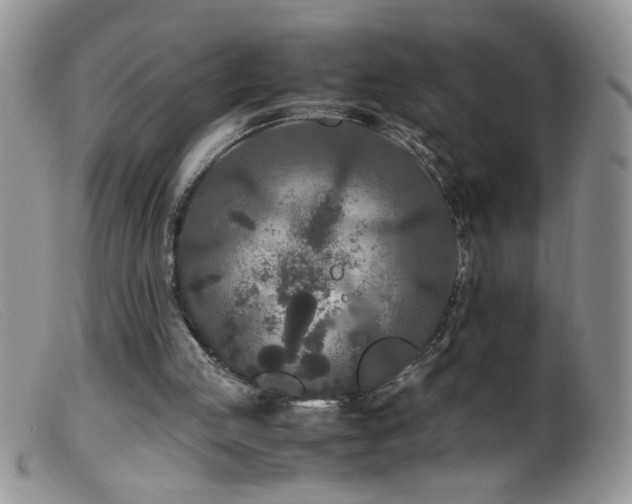 X0000099490053200805151417