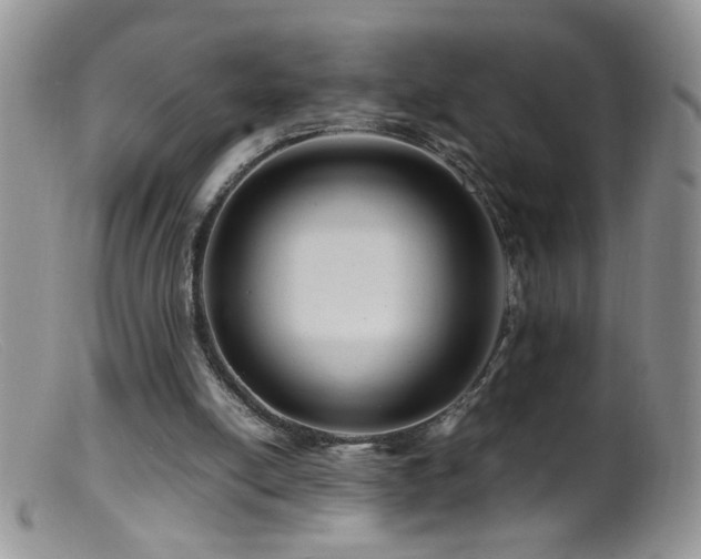 X0000099490054200805151417