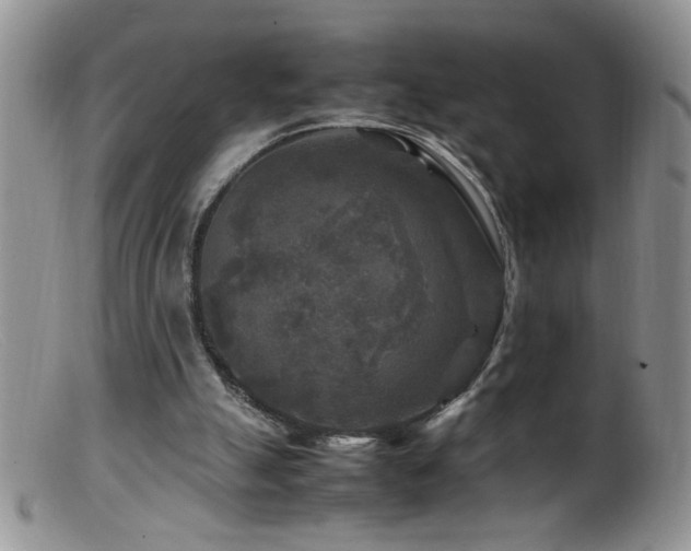 X0000099490055200805151417