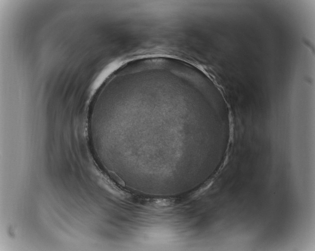 X0000099490056200805151417