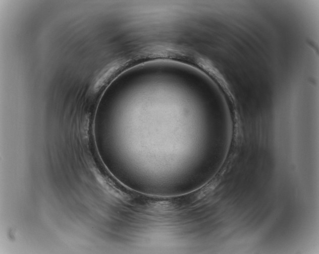 X0000099490058200805151417