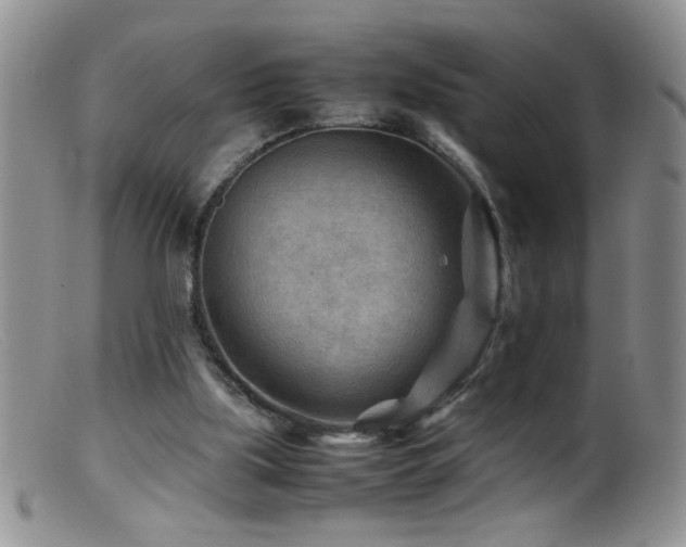 X0000099490059200805151417